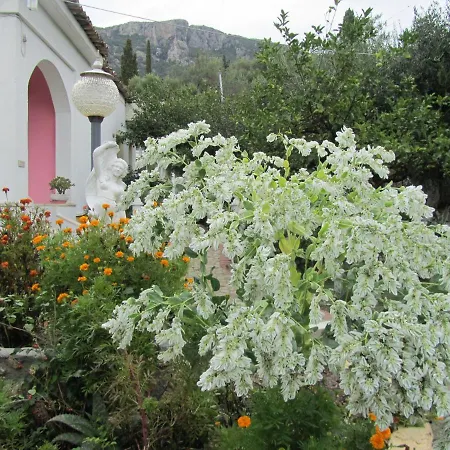Vanilla House * Palaiokastritsa